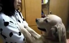 快要gc前是什么感觉